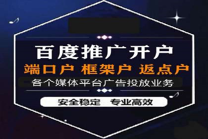 SEM托管公司案例：优化与增长